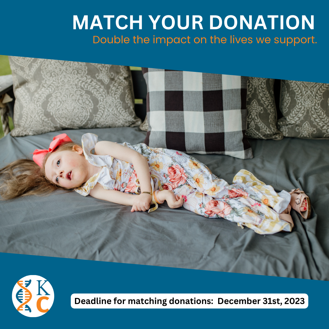 2023 Matching Donation - Small Banner