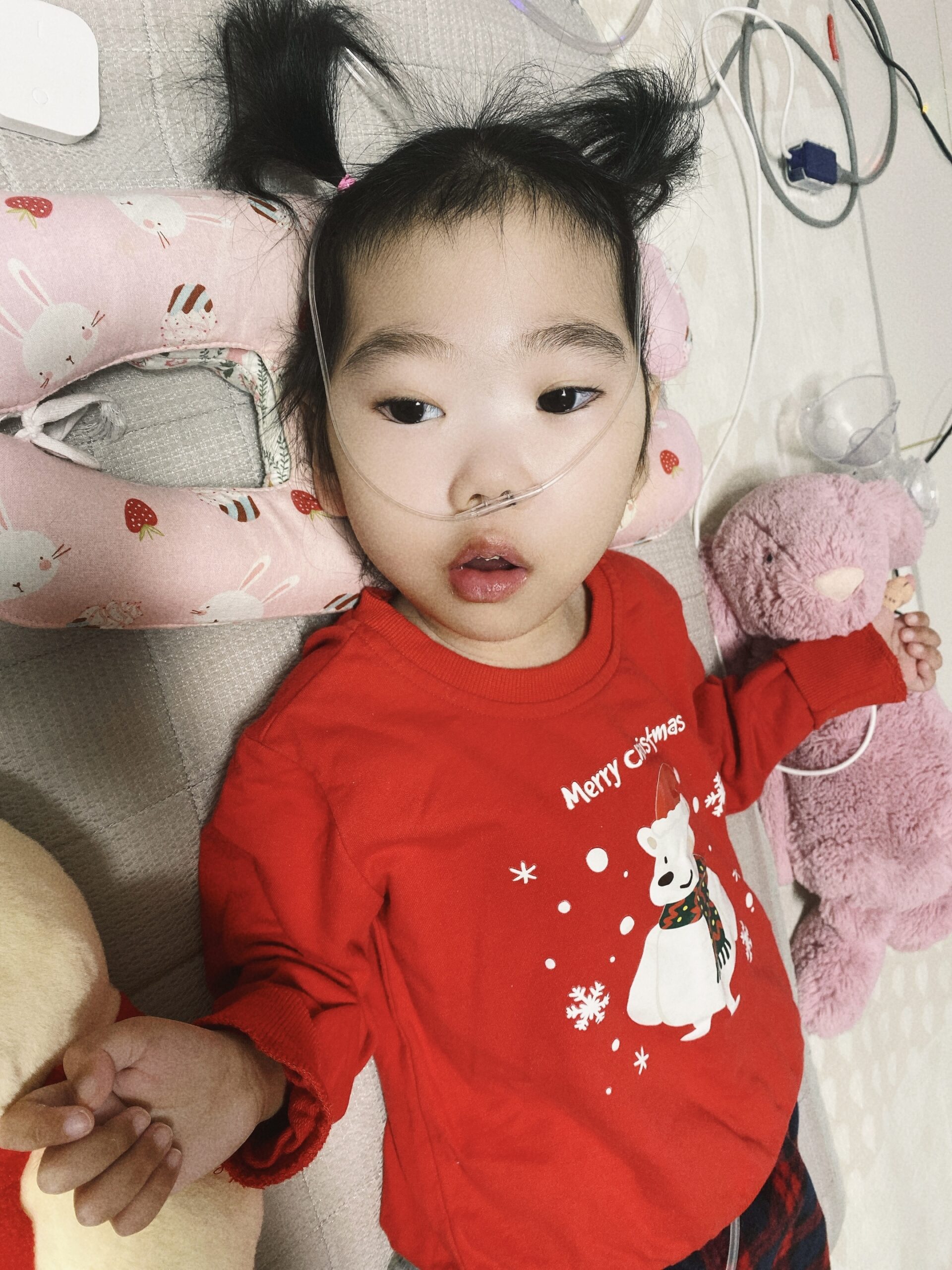 Jia kim krabbeconnect